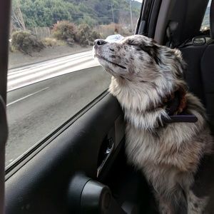 Meet your Posher, Yajaira